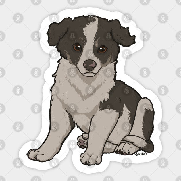 Border Collie Puppy Sticker by TaksArt